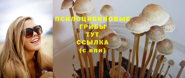 jwh Алзамай