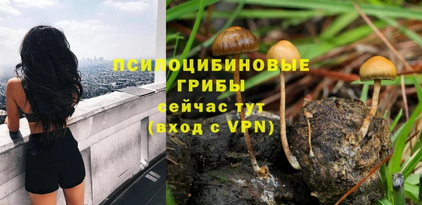 jwh Алзамай