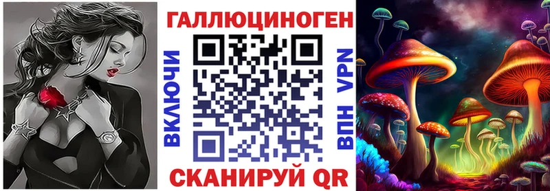 где можно купить   Сортавала  Галлюциногенные грибы Magic Shrooms 